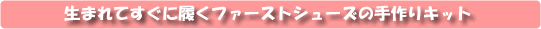 �t�@�[�X�g�V���[�Y�̎���L�b�g